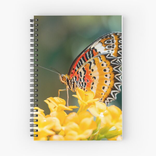 Item preview, Cethosia butterfly designed and sold by MS.photo.