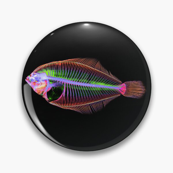 Item preview, Smallmouth Flounder designed and sold by NoahwithFish.