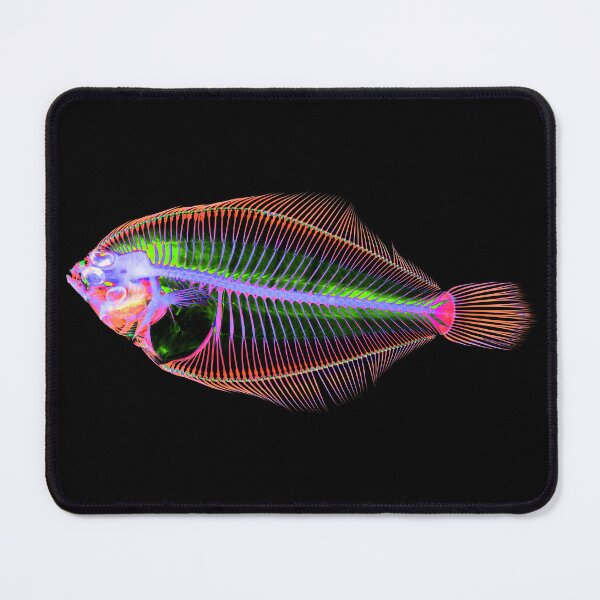 Item preview, Smallmouth Flounder designed and sold by NoahwithFish.