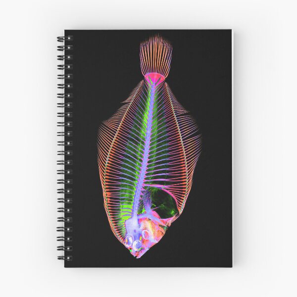 Item preview, Smallmouth Flounder designed and sold by NoahwithFish.