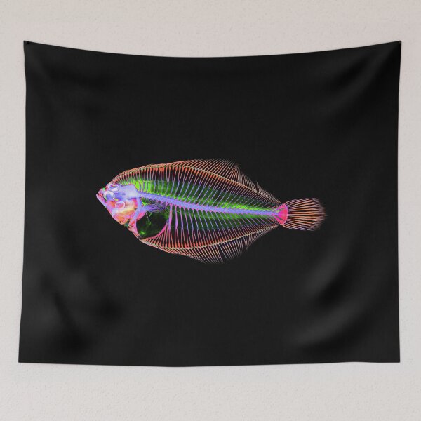 Item preview, Smallmouth Flounder designed and sold by NoahwithFish.