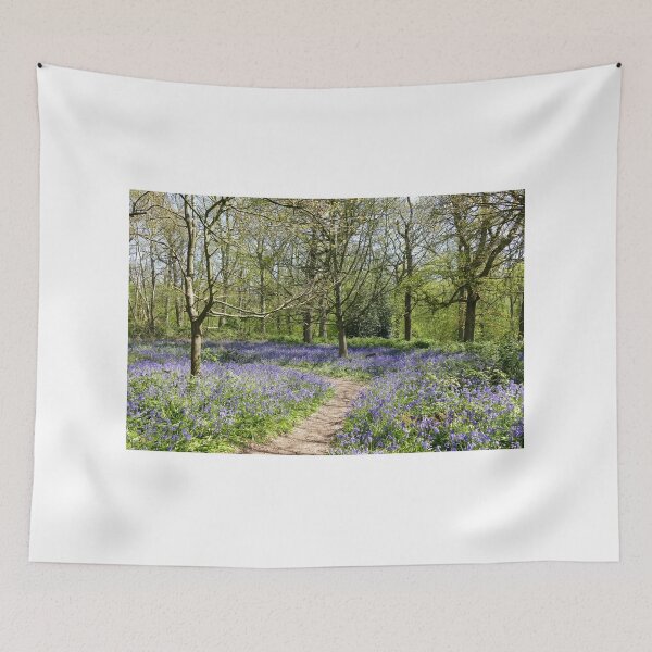 Item preview, Bluebell Woods designed and sold by Chris Petty.