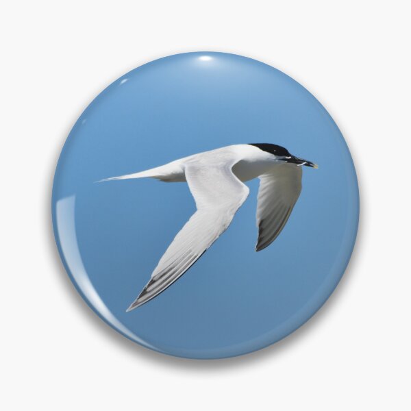 Item preview, Common Tern Gliding Gracefully Against Blue Sky designed and sold by Shanguai.