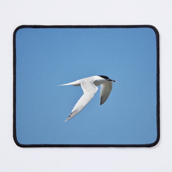 Item preview, Common Tern Gliding Gracefully Against Blue Sky designed and sold by Shanguai.