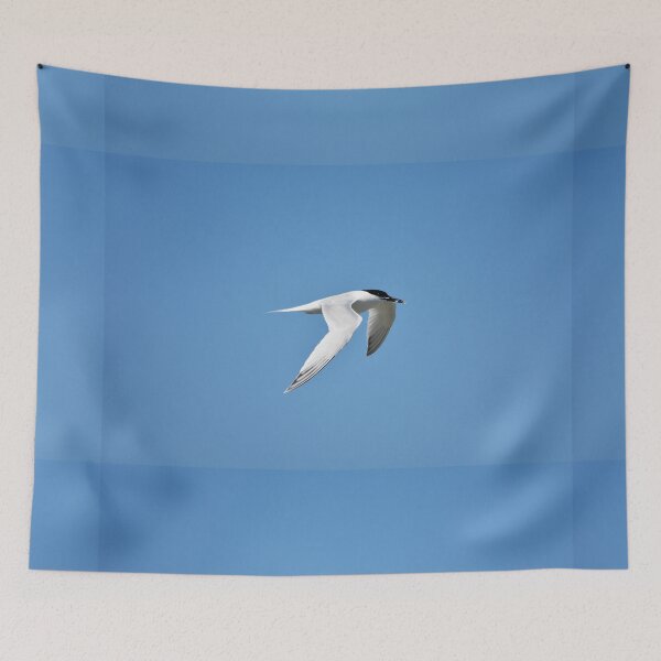 Item preview, Common Tern Gliding Gracefully Against Blue Sky designed and sold by Shanguai.