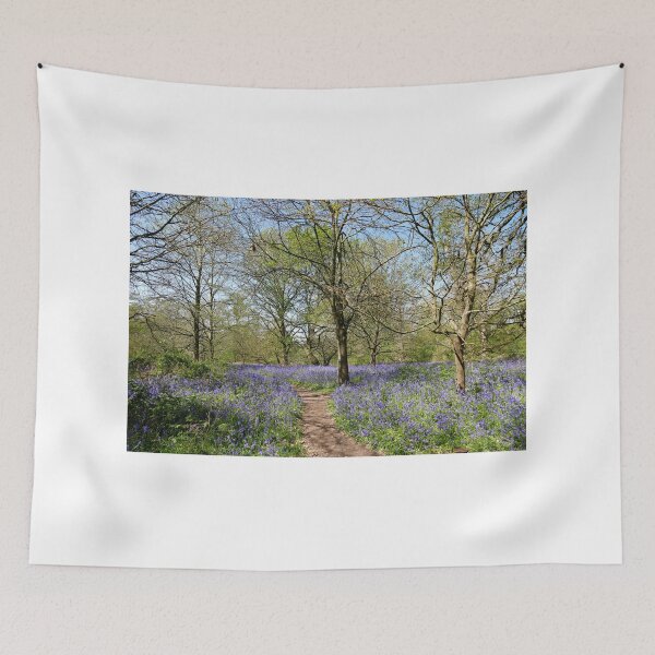 Item preview, Bluebell Woods designed and sold by Chris Petty.