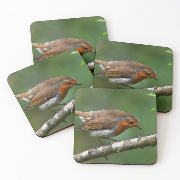 Item preview, European Robin Perched on Silver Birch in Spring designed and sold by Shanguai.