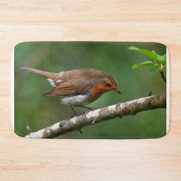 Item preview, European Robin Perched on Silver Birch in Spring designed and sold by Shanguai.