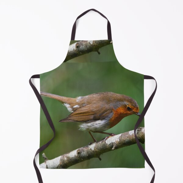 Item preview, European Robin Perched on Silver Birch in Spring designed and sold by Shanguai.