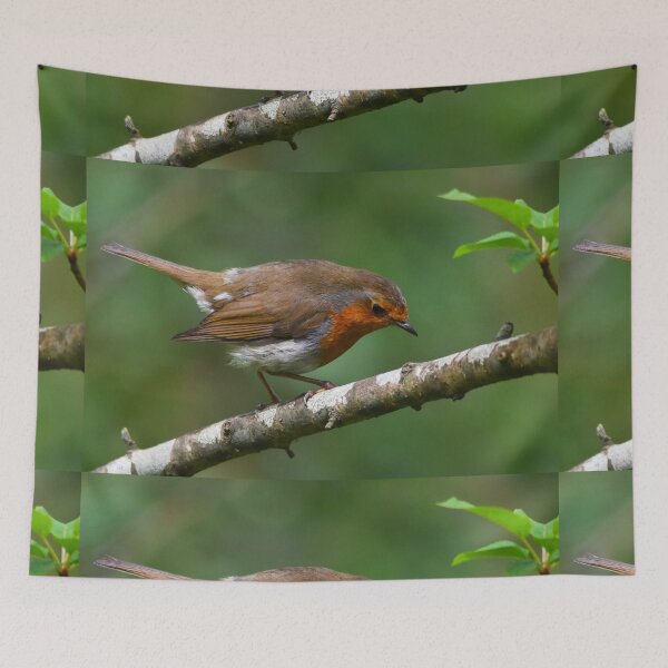 Item preview, European Robin Perched on Silver Birch in Spring designed and sold by Shanguai.