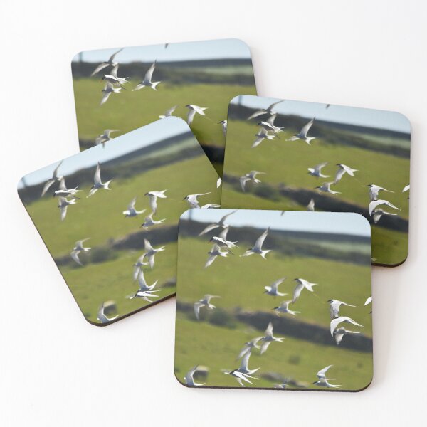 Item preview, Flock of Terns Swooping Over Coastal Grassland designed and sold by Shanguai.