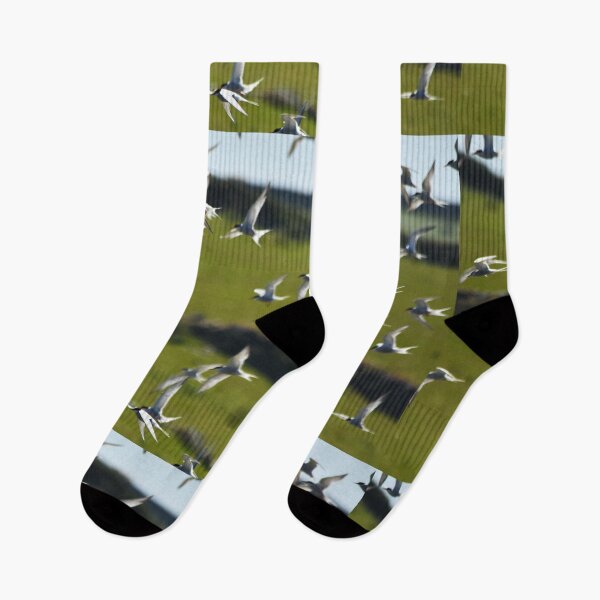 Item preview, Flock of Terns Swooping Over Coastal Grassland designed and sold by Shanguai.