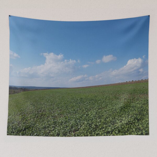 Item preview, Peaceful Landscape from Dobrudzha, Bulgaria designed and sold by inspiration3.