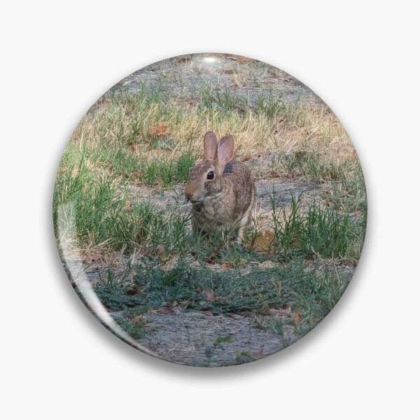Item preview, Texas Rabbit designed and sold by OutOfTheCrate.