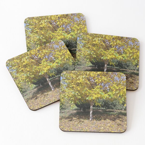 Item preview, Autumn Garden with Walnut and Hazelnut Trees designed and sold by inspiration3.