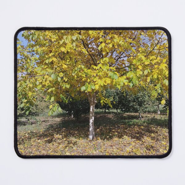 Item preview, Autumn Garden with Walnut and Hazelnut Trees designed and sold by inspiration3.