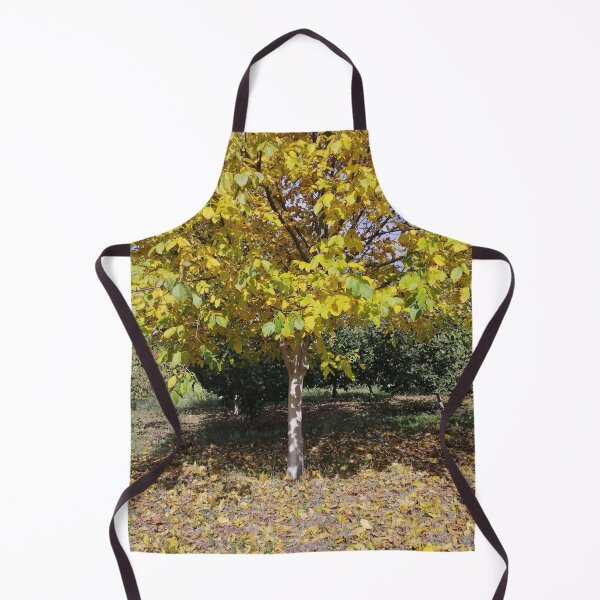 Item preview, Autumn Garden with Walnut and Hazelnut Trees designed and sold by inspiration3.