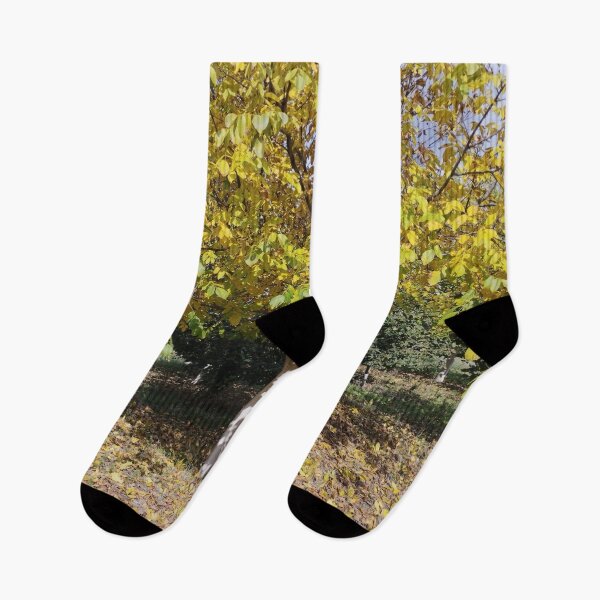Item preview, Autumn Garden with Walnut and Hazelnut Trees designed and sold by inspiration3.