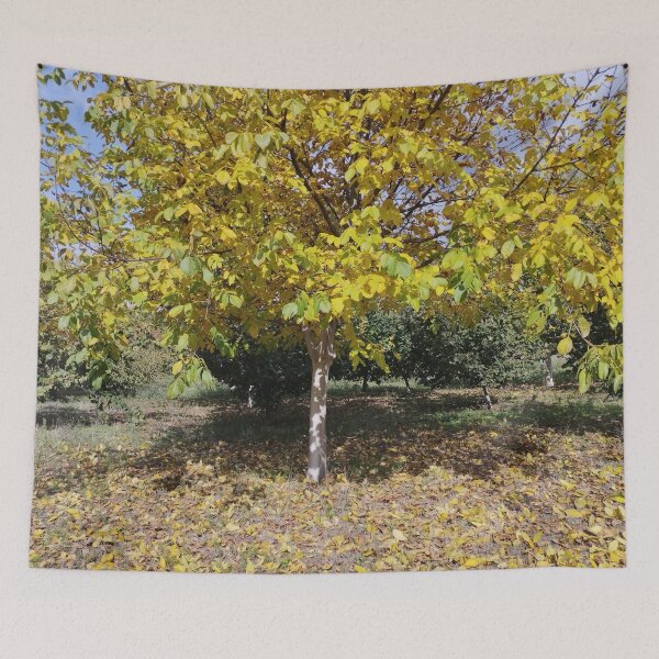 Item preview, Autumn Garden with Walnut and Hazelnut Trees designed and sold by inspiration3.