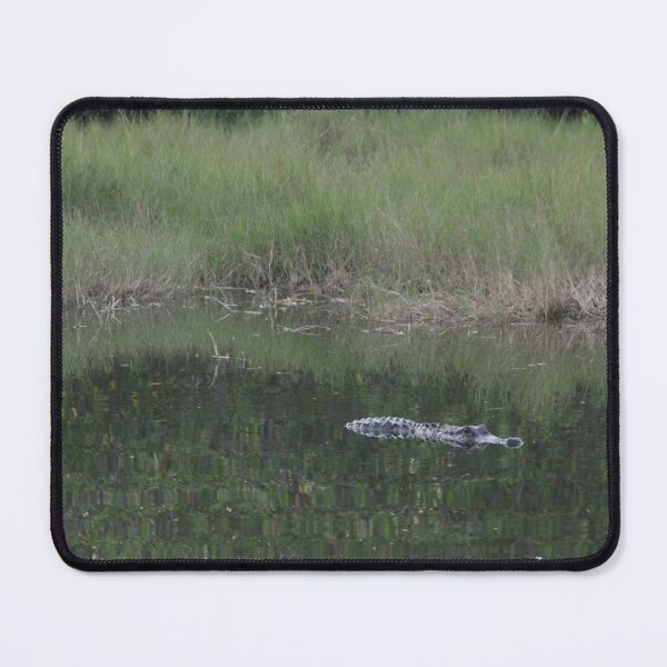 Item preview, Gator Backs designed and sold by MatthewThomasDaniels.