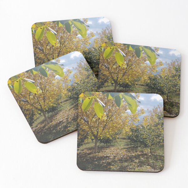 Item preview, Autumn Garden with Walnut and Hazelnut Trees designed and sold by inspiration3.