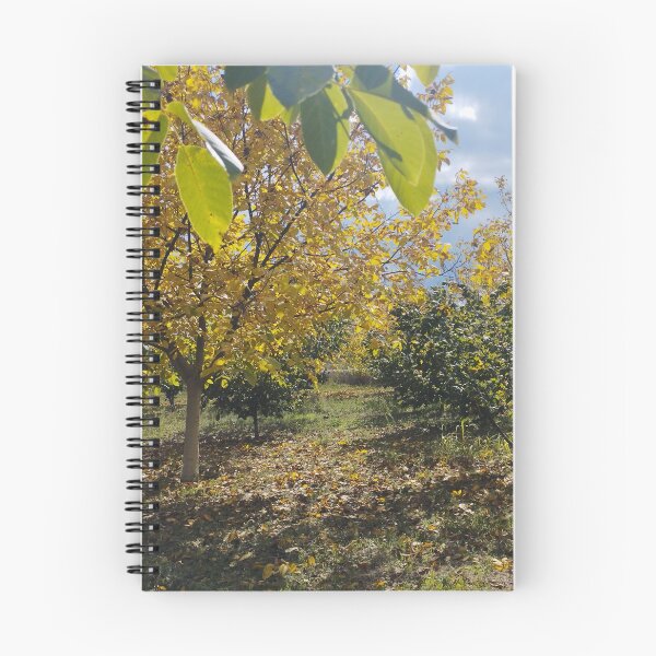 Item preview, Autumn Garden with Walnut and Hazelnut Trees designed and sold by inspiration3.