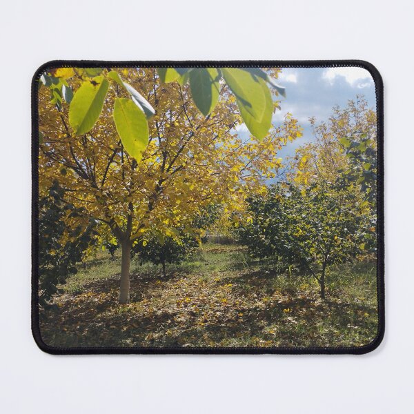 Item preview, Autumn Garden with Walnut and Hazelnut Trees designed and sold by inspiration3.