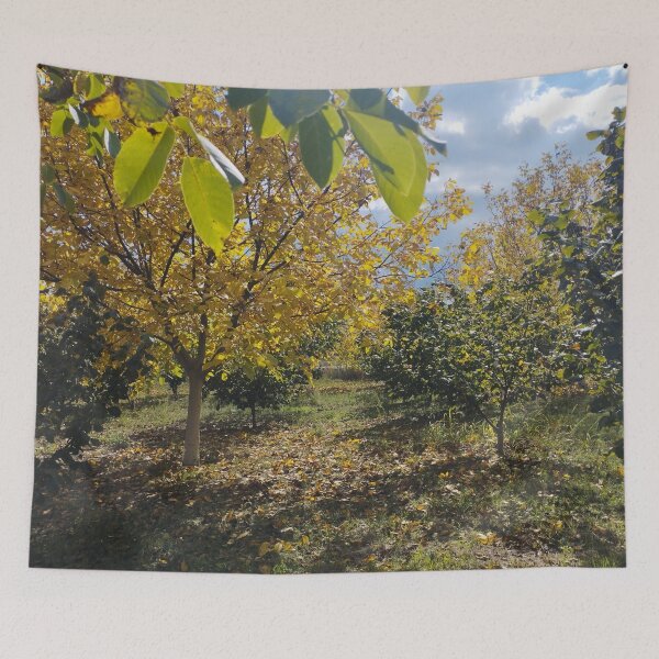 Item preview, Autumn Garden with Walnut and Hazelnut Trees designed and sold by inspiration3.