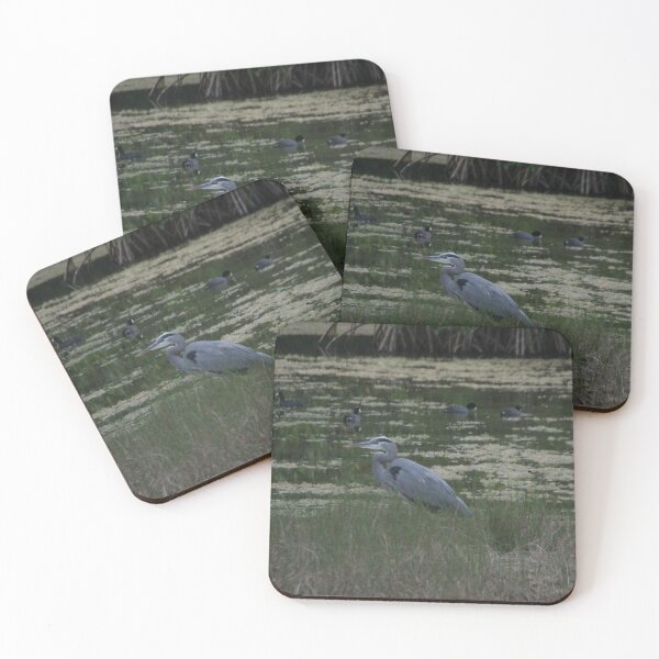 Item preview, Bird Watch designed and sold by MatthewThomasDaniels.