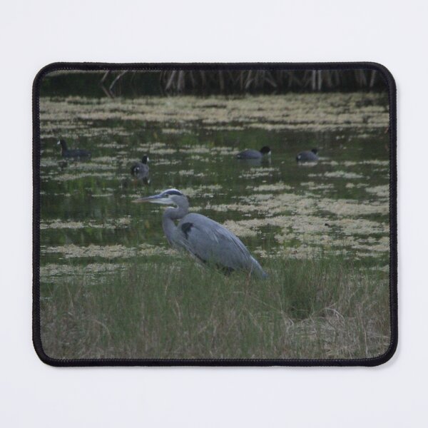 Item preview, Bird Watch designed and sold by MatthewThomasDaniels.