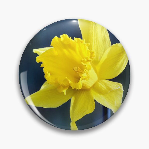 Item preview, Single Diffused Macro Daffodil  designed and sold by Tom McPherson Photography.