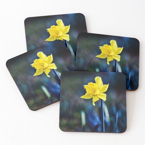 Item preview, Single Diffused Macro Daffodil  designed and sold by Tom McPherson Photography.
