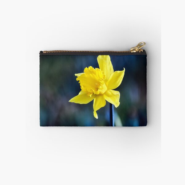 Item preview, Single Diffused Macro Daffodil  designed and sold by Tom McPherson Photography.