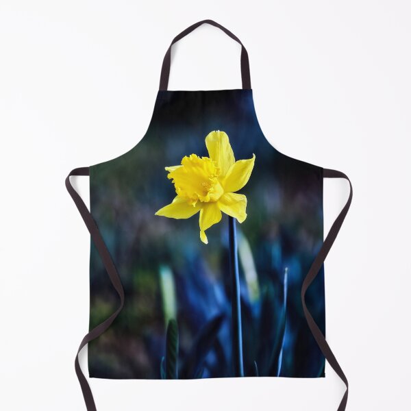 Item preview, Single Diffused Macro Daffodil designed and sold by Tom McPherson Photography.