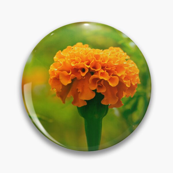 Item preview, Tagetes spp. (Marigold) designed and sold by Anicoa.