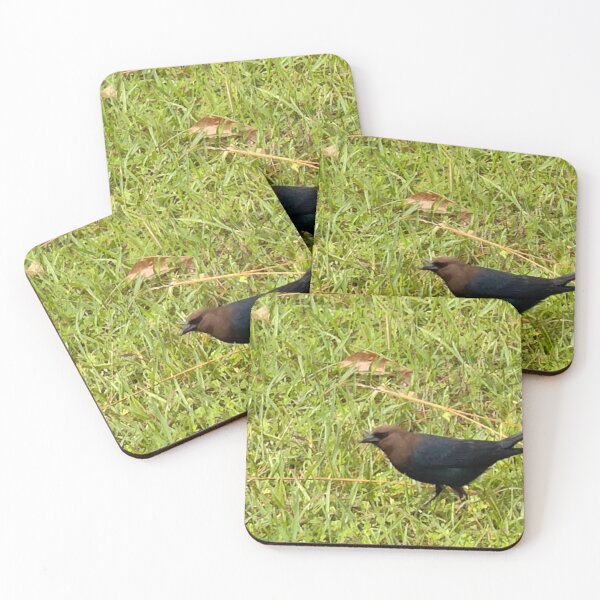 Item preview, The Secret Life of the Brown-Headed Cowbird. designed and sold by Pearls1.