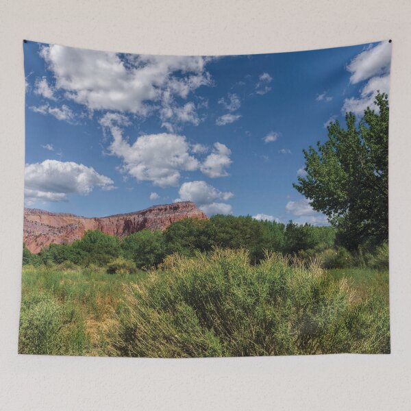 Item preview, Ghost Ranch Desert designed and sold by Kay Brewer.