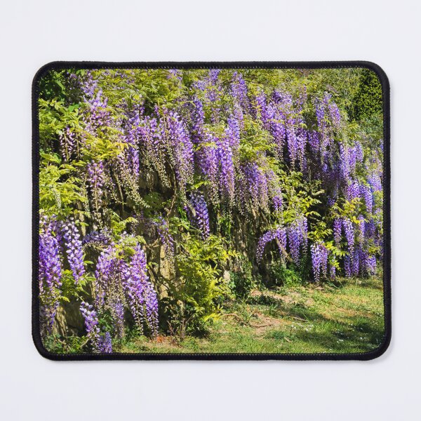 Item preview, Wisteria designed and sold by JEZ22.