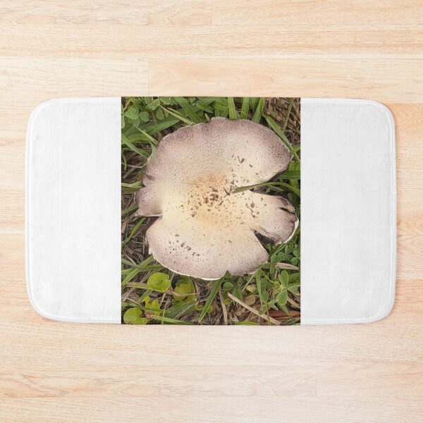 Item preview, Forest Floor Mushrooms: Nature’s Hidden World. designed and sold by Pearls1.