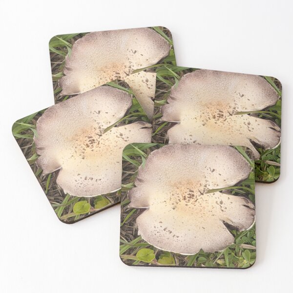 Item preview, Forest Floor Mushrooms: Nature’s Hidden World. designed and sold by Pearls1.