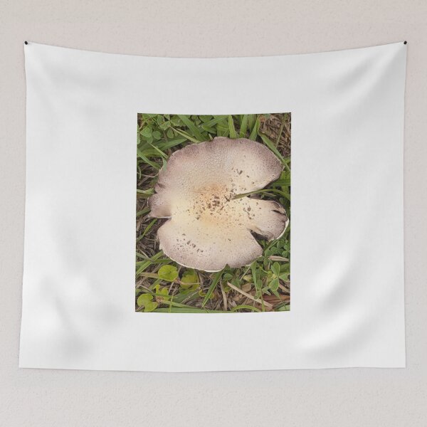 Item preview, Forest Floor Mushrooms: Nature’s Hidden World. designed and sold by Pearls1.
