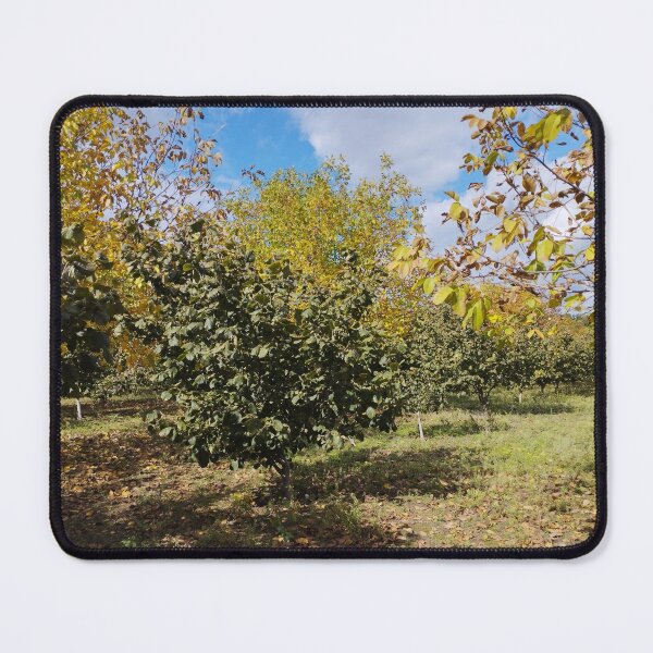 Item preview, Autumn Garden with Walnut and Hazelnut Trees designed and sold by inspiration3.