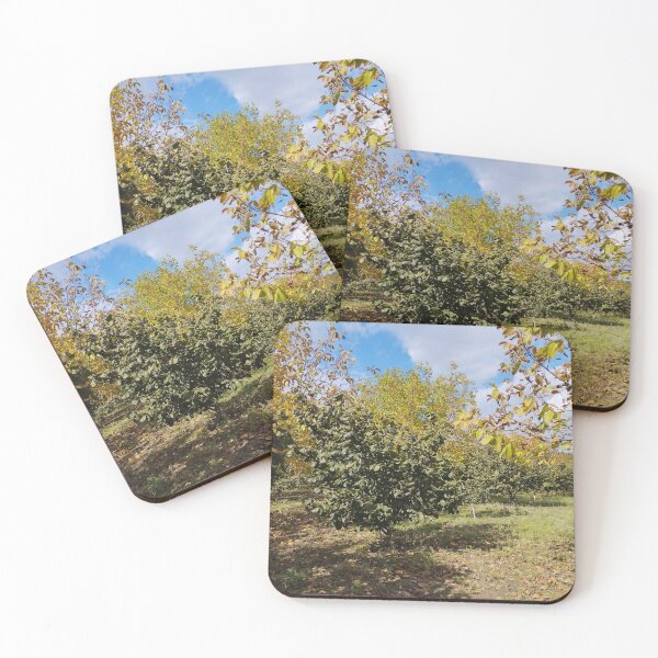 Item preview, Autumn Garden with Walnut and Hazelnut Trees designed and sold by inspiration3.