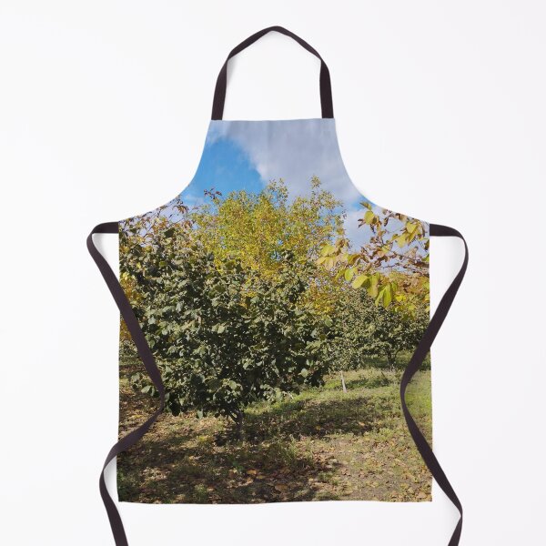 Item preview, Autumn Garden with Walnut and Hazelnut Trees designed and sold by inspiration3.