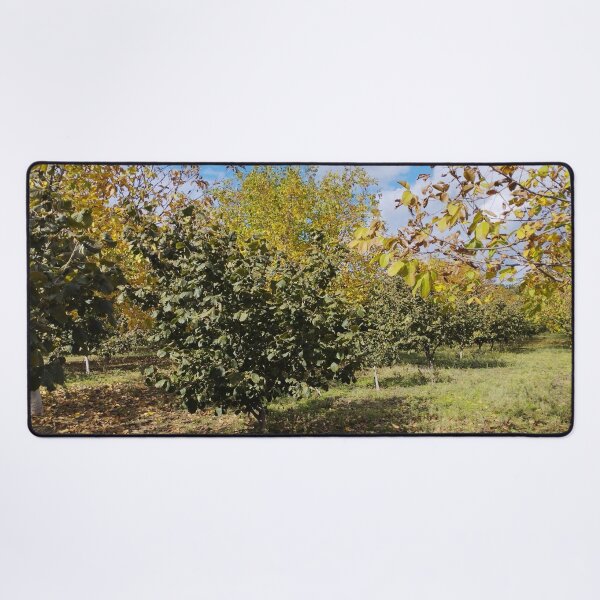 Item preview, Autumn Garden with Walnut and Hazelnut Trees designed and sold by inspiration3.