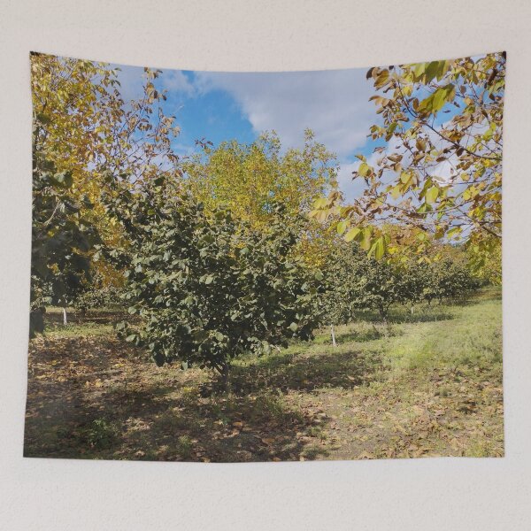 Item preview, Autumn Garden with Walnut and Hazelnut Trees designed and sold by inspiration3.