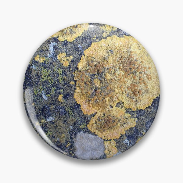 Item preview, Lichen Texture Macro Organic Pattern Nature Background designed and sold by onubi.
