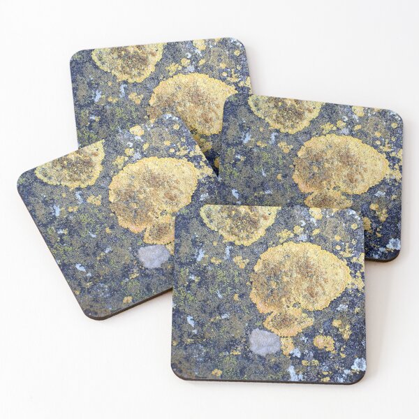 Item preview, Lichen Texture Macro Organic Pattern Nature Background designed and sold by onubi.