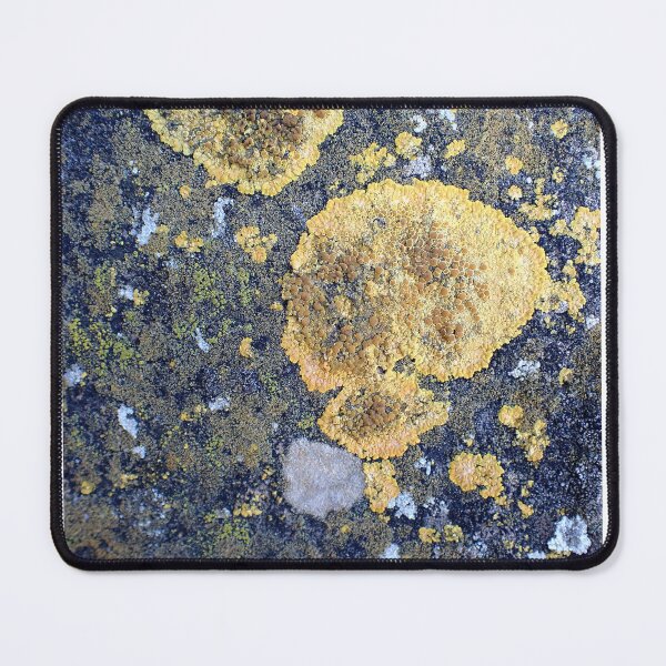 Item preview, Lichen Texture Macro Organic Pattern Nature Background designed and sold by onubi.