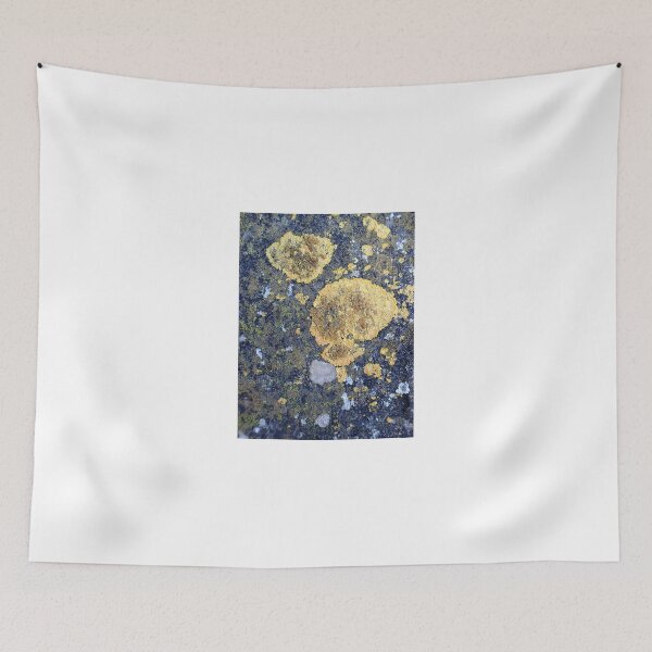 Item preview, Lichen Texture Macro Organic Pattern Nature Background designed and sold by onubi.